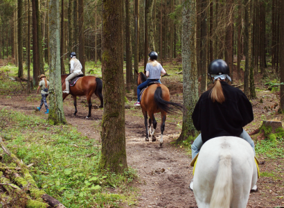 Horses and Riders on Trail
